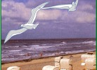 die Ostsee - eine Reise wert
