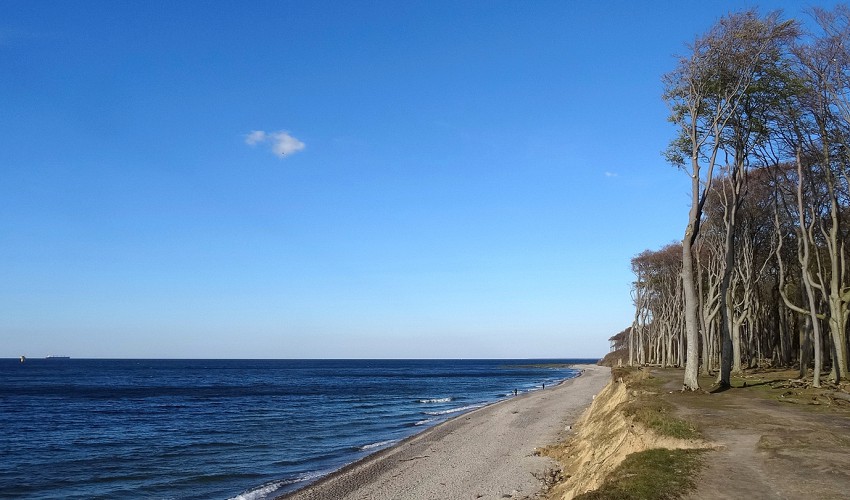 die Steilküste von Nienhagen