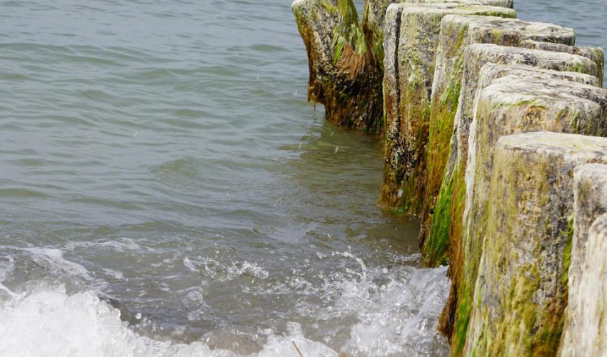 einer tanzt aus der Reihe