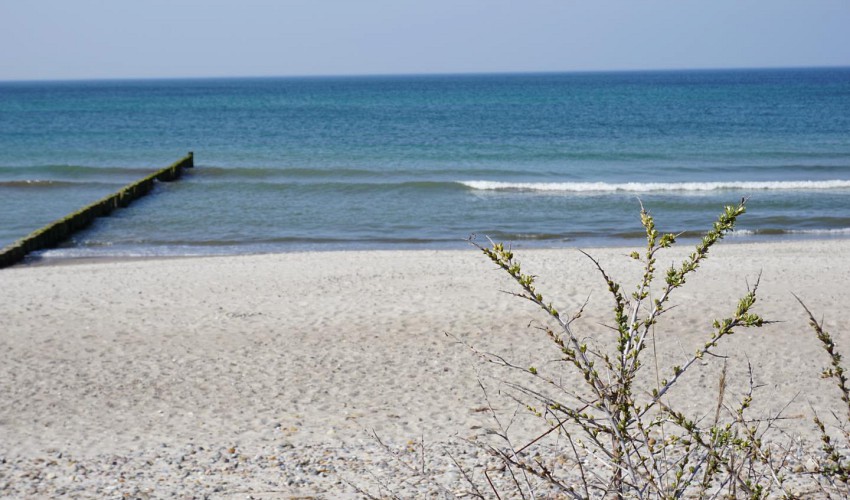 kilometerlanger Strand lädt zum Spaziergang ein