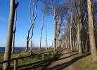Wanderweg durch den Gespensterwald