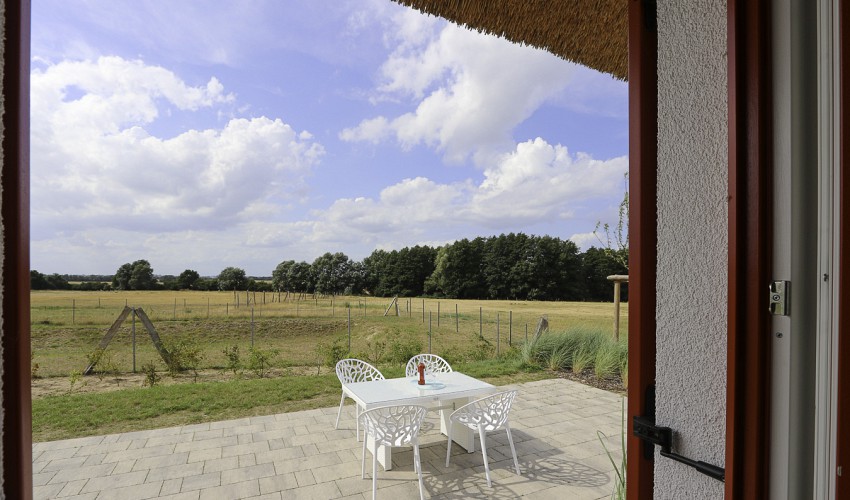 Blick in die Wiesen