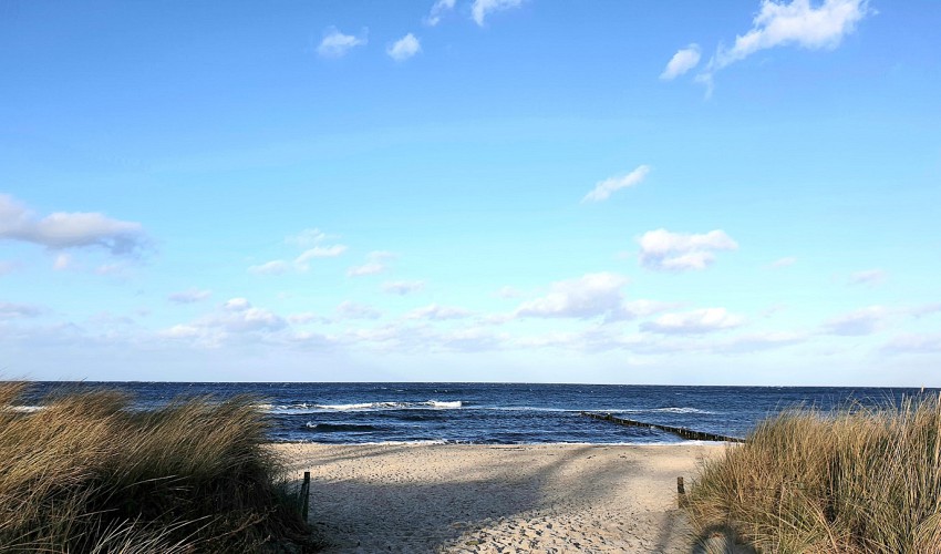 Strand