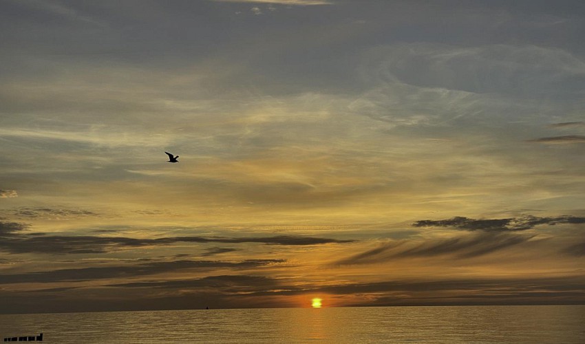 Der Horizont