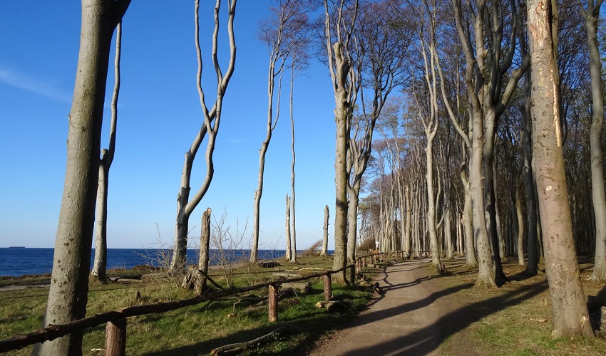 Wanderweg entlang der Küstenlinie