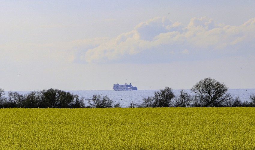 Fähre am Horizont