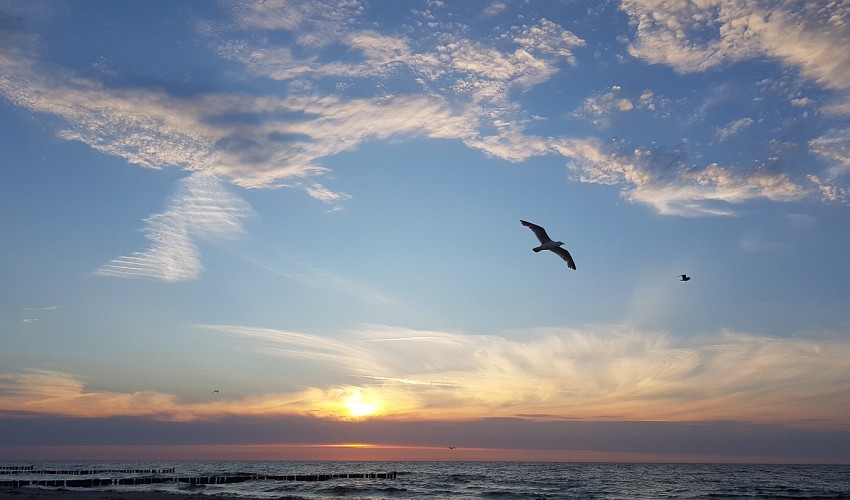 Ostsee