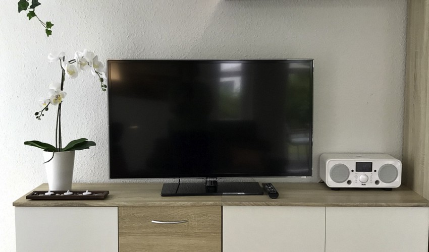 TV