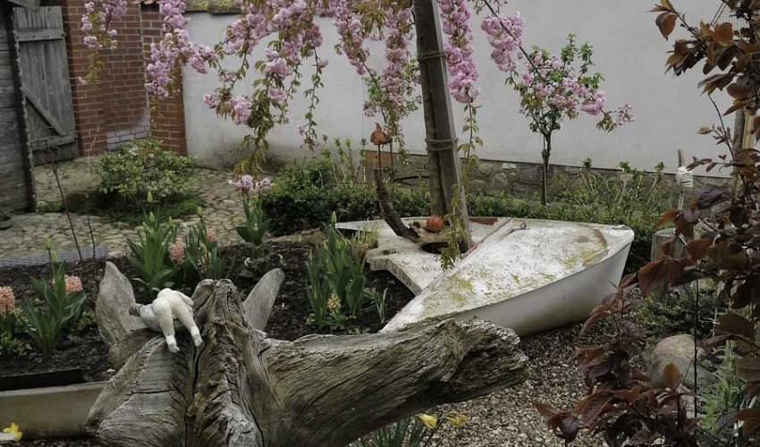 Garten hinter dem Haus