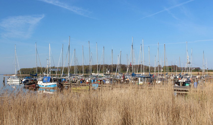 der Yachthafen von Rerik