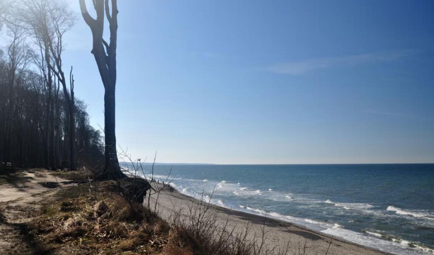 Strand Nienhagen