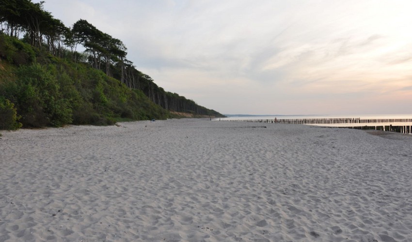 Sandstrand von Nienhagen