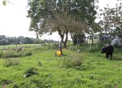 Bilck zum Nachbarn