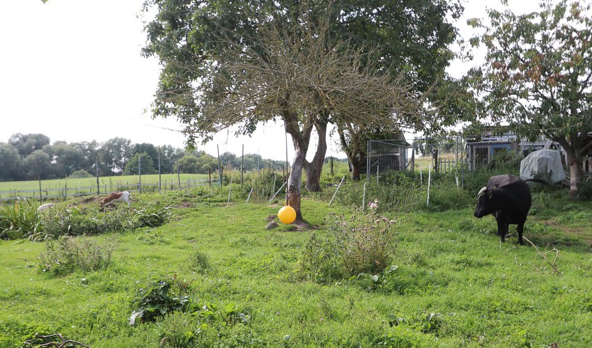 Bilck zum Nachbarn
