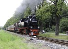 Traditionszug 
